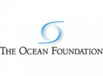 The Ocean Foundation